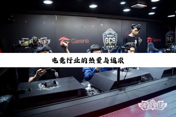 电竞行业的热爱与追求